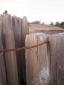 Barbed wire sunset