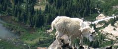 Quandry Peak Mountain Hike - July 2007